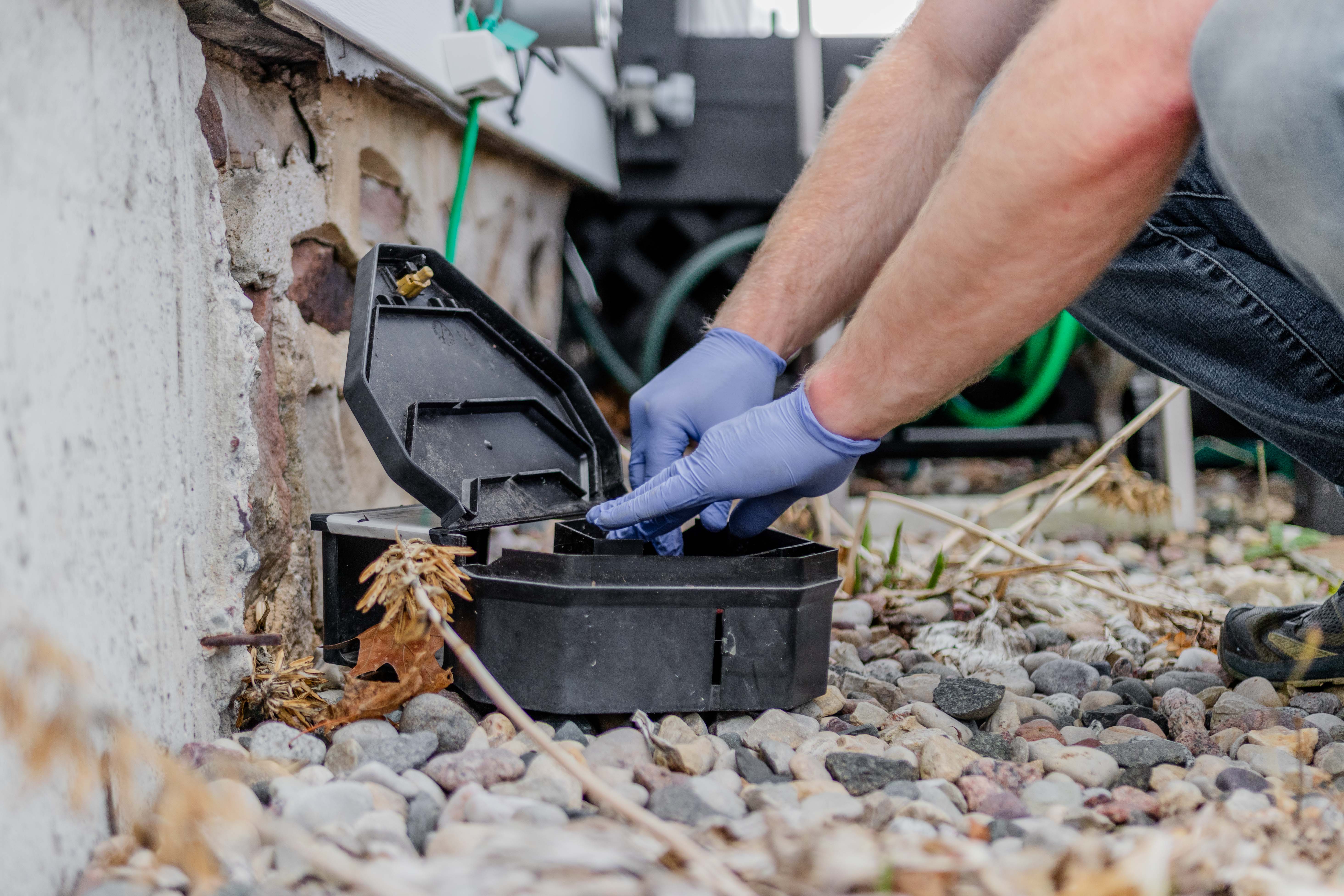 What Central Wisconsin Homeowners Should Expect From Pests and Wildlife This Spring Image