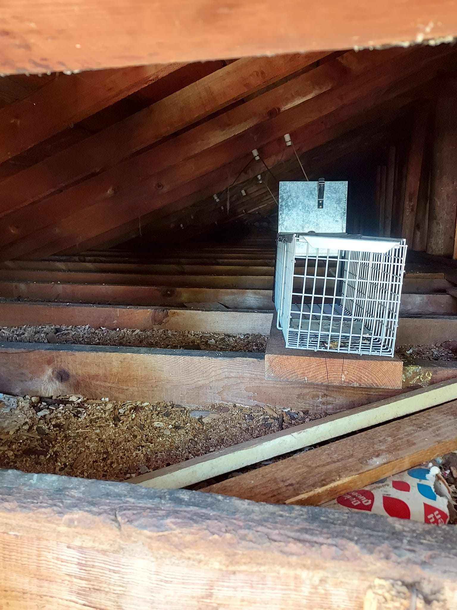 Minocqua Wildlife Management Services